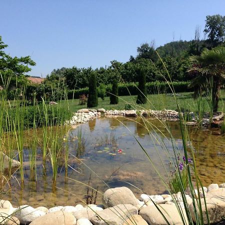 B&B Il Sogno Cossano Belbo ภายนอก รูปภาพ
