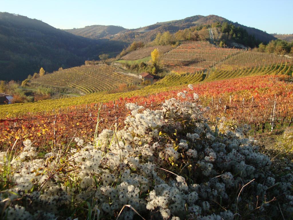 B&B Il Sogno Cossano Belbo ภายนอก รูปภาพ