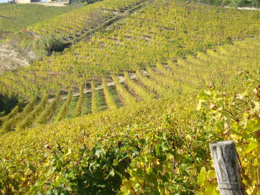 B&B Il Sogno Cossano Belbo ภายนอก รูปภาพ