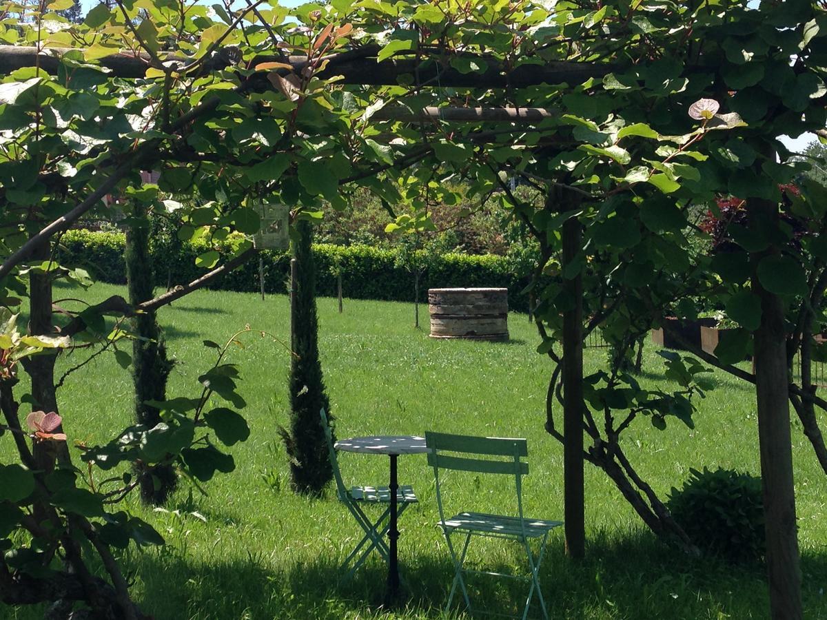 B&B Il Sogno Cossano Belbo ภายนอก รูปภาพ