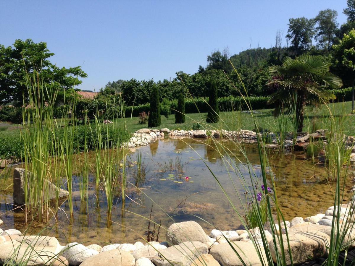 B&B Il Sogno Cossano Belbo ภายนอก รูปภาพ
